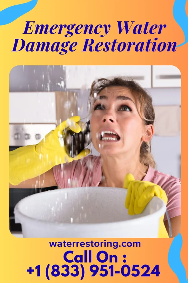 Emergency Water Damage Restoration in Birdsong, AR