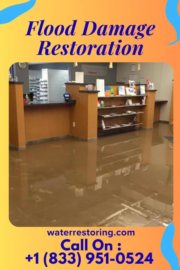 Flood Damage Restoration in Birdsong, AR