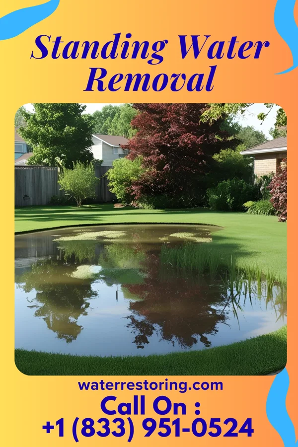 Standing Water Removal in Birdsong, AR
